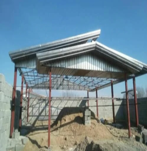 وحیدرضا زندوکیلی